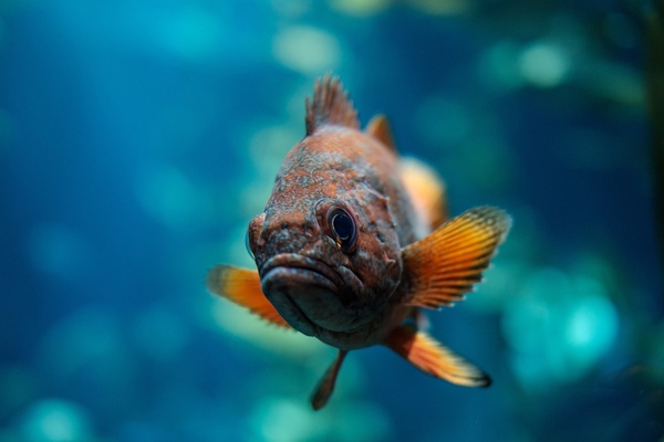 新加坡学生准证申请前确认学校与课程资格